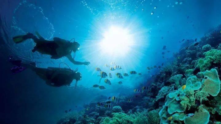 逃离神秘海底世界